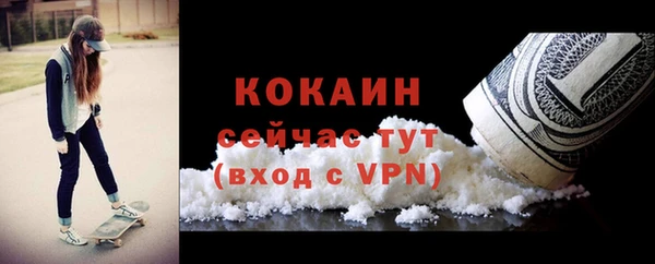 крисы Билибино