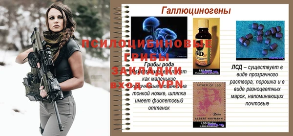 не бодяженный Карпинск