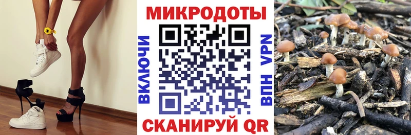 Галлюциногенные грибы прущие грибы  Купить где  Неман 